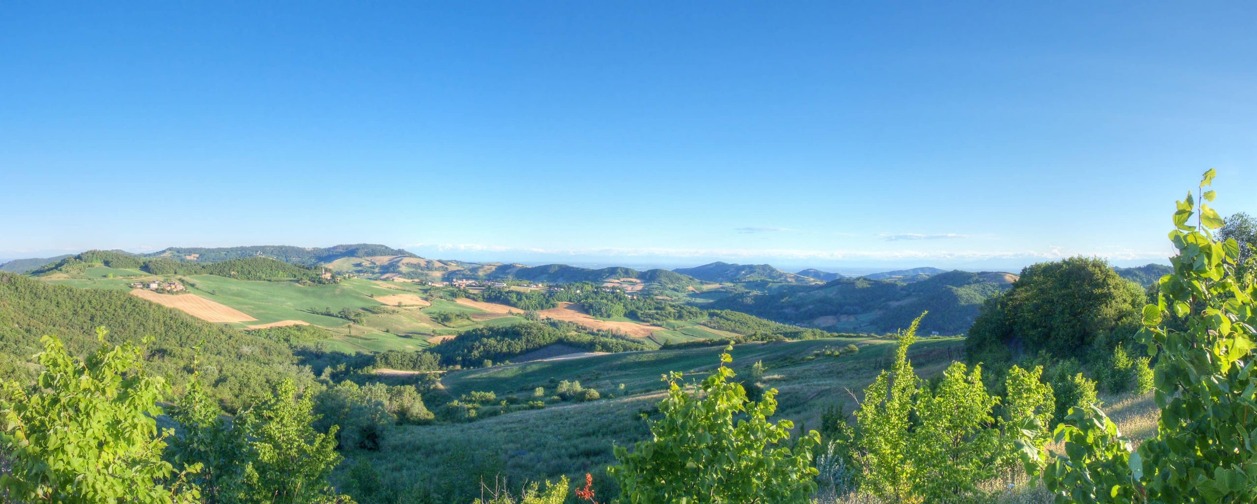 Panorama_di_Montesegale_da_Zuccarello