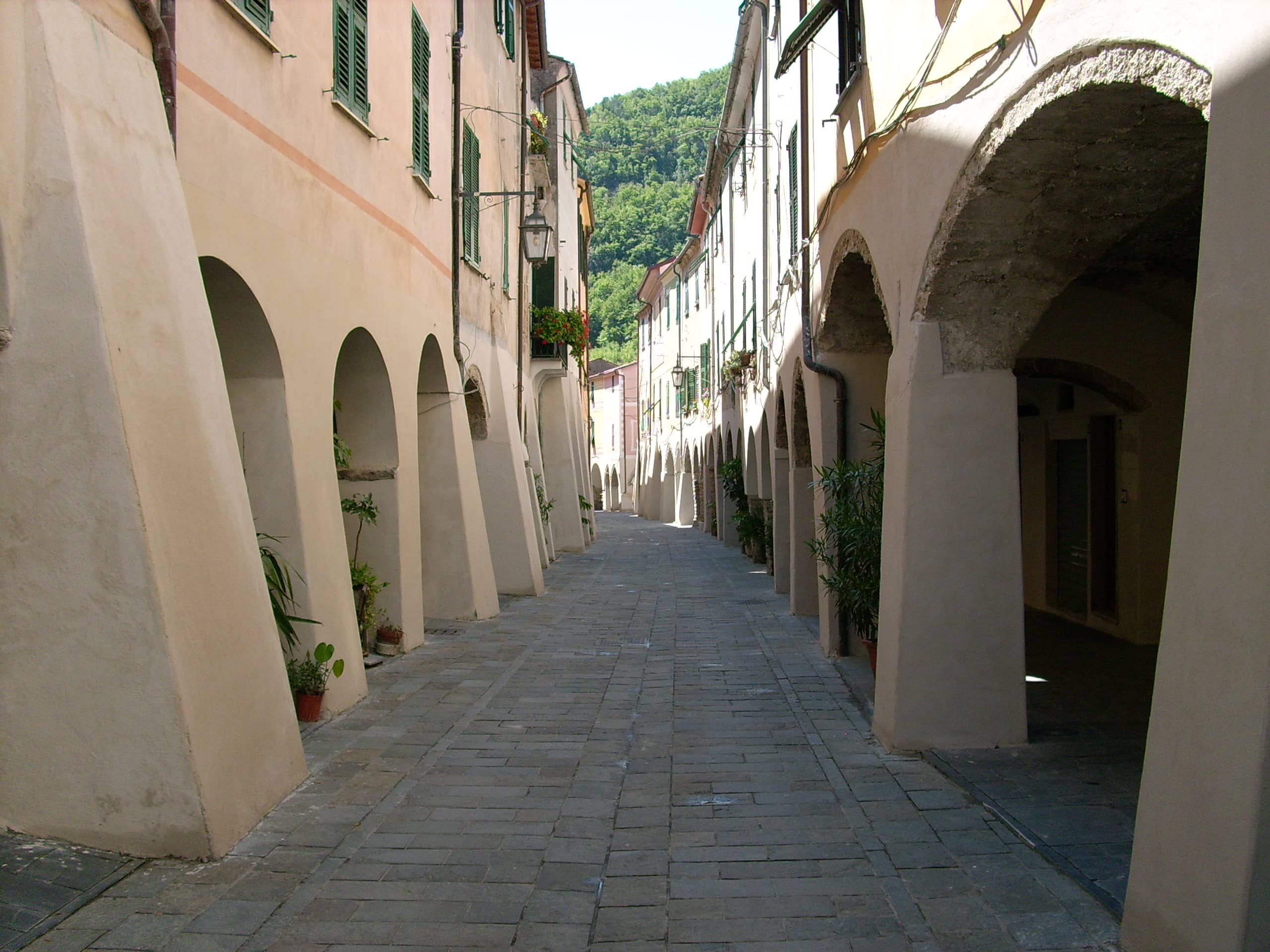 Zuccarello-caruggi