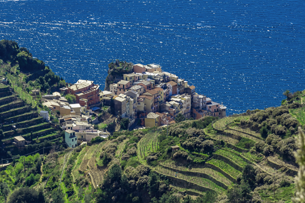 Cinque Terre Manarola vista dall'alto con mare sul fondo