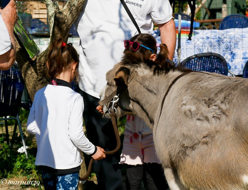Parco del Ciapà e i suoi animali