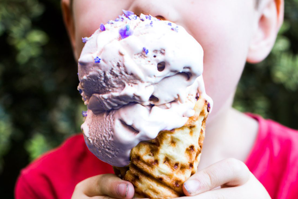 Costa Azzurra gelato nel giardino Ezè