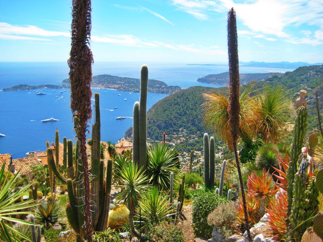 Costa Azzurra e gita nel giardino Ezè con particolare su cactus
