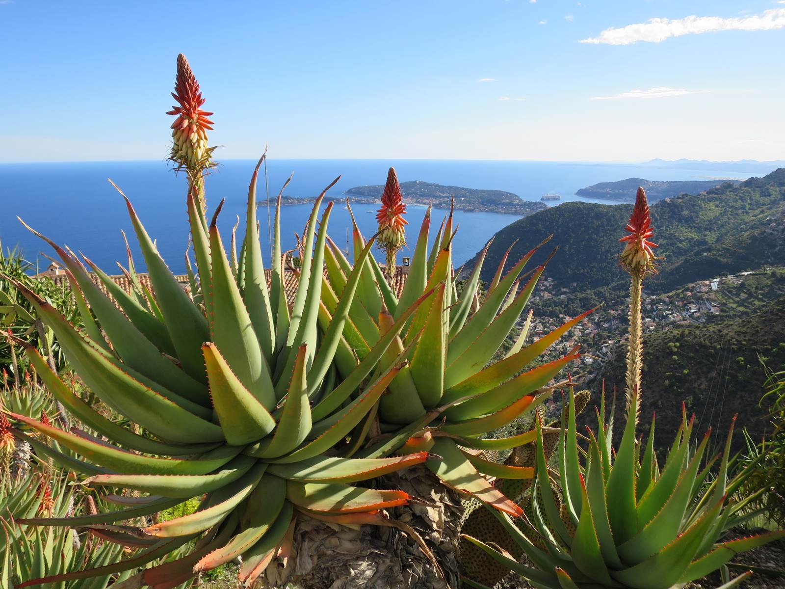 Costa Azzurra e gita nel giardino Ezè con vista sul mare