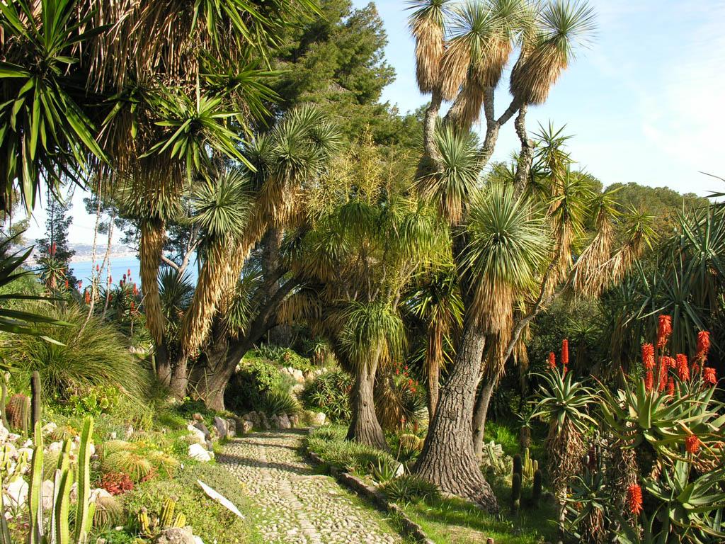 Parchi in Liguria Villa Hanbury