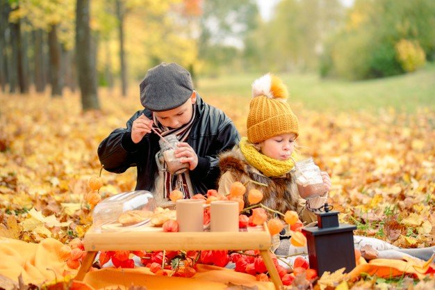 organizzare un picnic a casa autunno organizzare un picnic a casa autunno