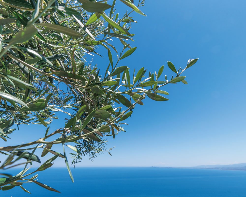 Chi-siamo Liguria panorama sul mare Riviera dei Bambini