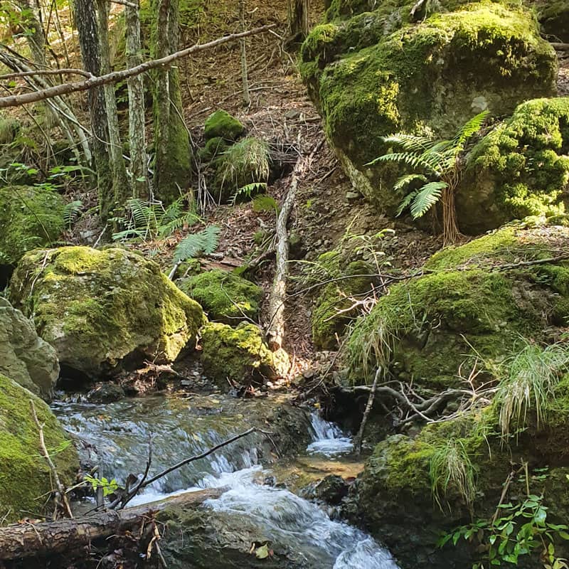 Ruscello nel Bosco delle Fate