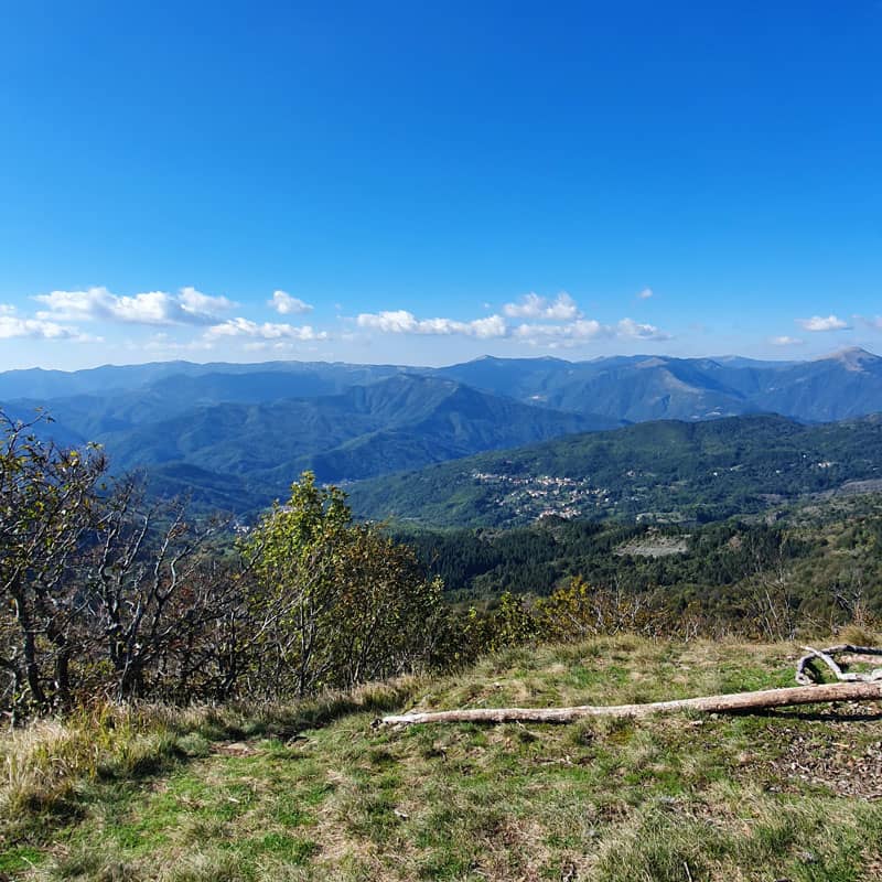 Vista dalla cima del monte Gifarco