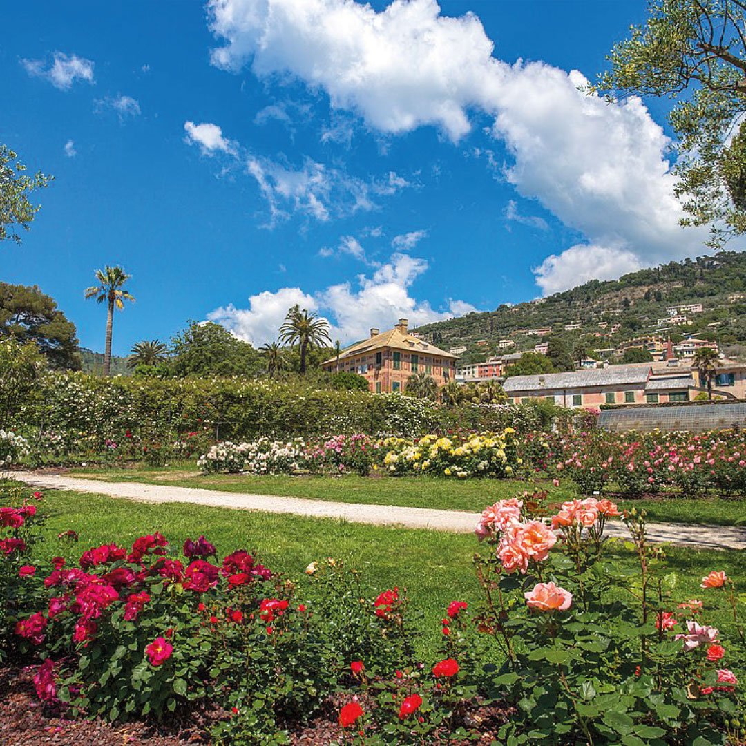 Il-roseto-dei-parchi-di-Nervi-Genova