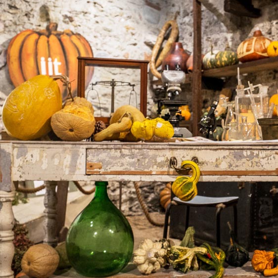 Mostra della Zucca di Murta - Genova 2023