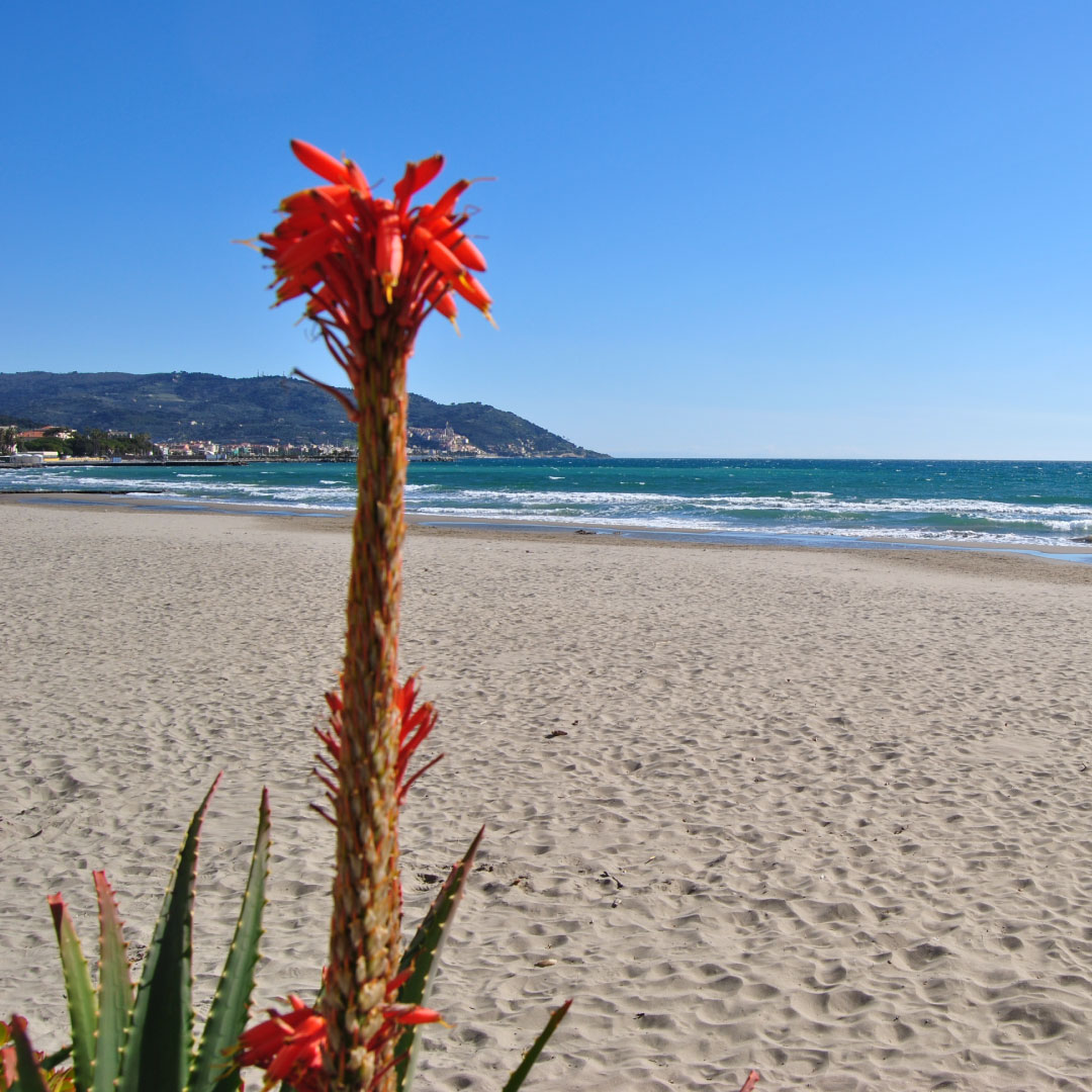 Spiaggia sabbiosa diano marina
