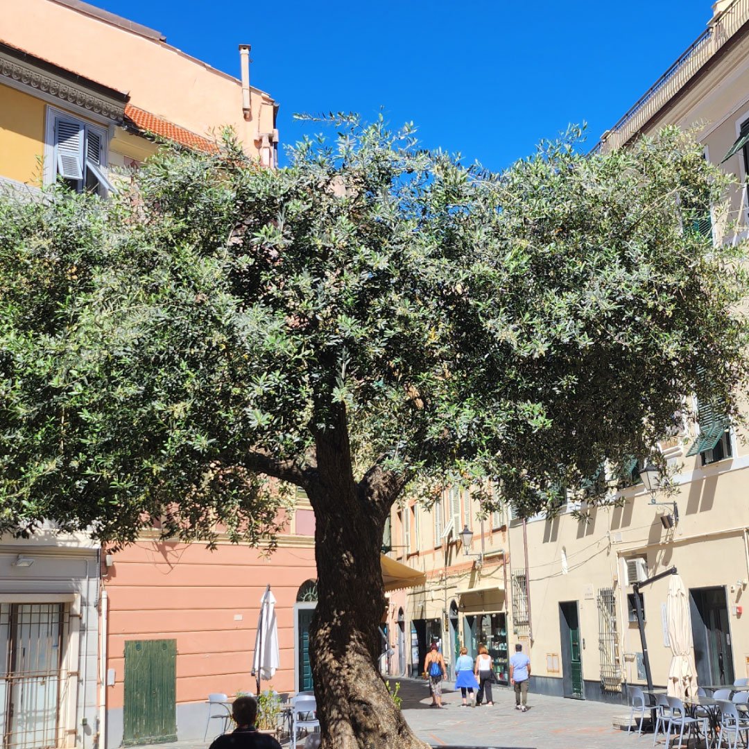 centro storico di Loano