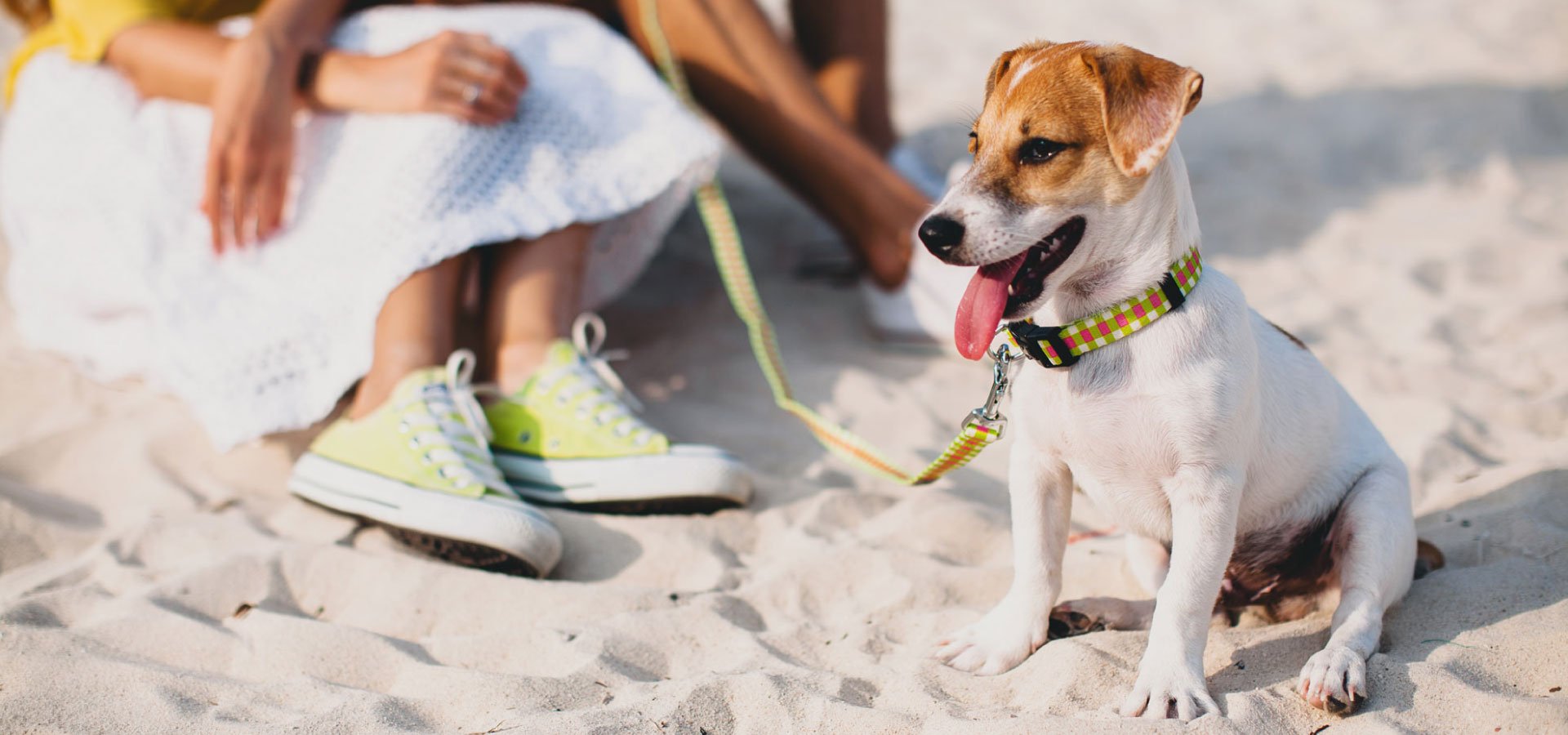 Vacanza per cani e gatti in Liguria con tutta la famiglia Vacanza per cani e gatti in Liguria con tutta la famiglia