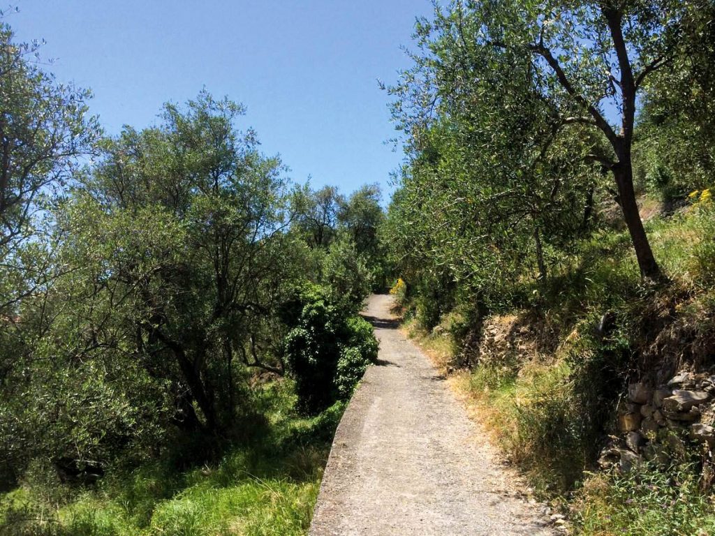 Parco Naturale del Ciapà sentieri